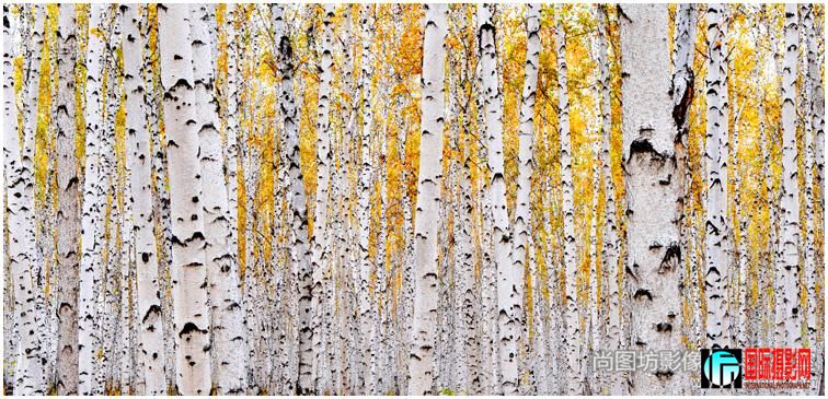 �����еİ��롷 ��Ӱ������ΰ ������ľ�����.jpg