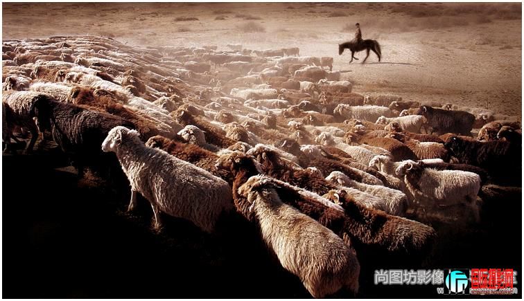 �����衷 ��Ӱ��������  ���ɫ��Ƭ��ͭ��.jpg