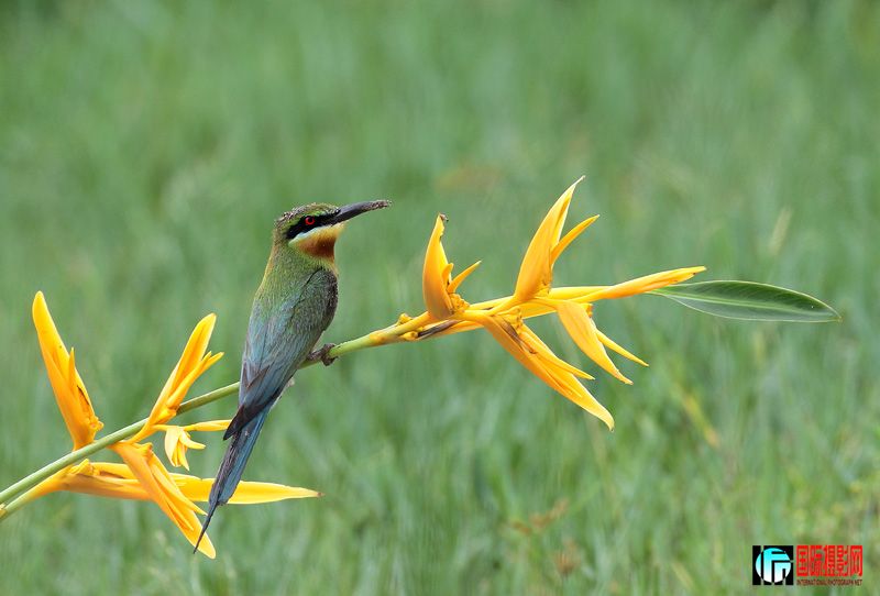 ��������仢 1.jpg