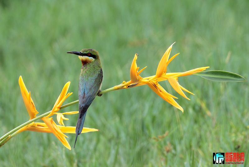 ��������仢 2.jpg