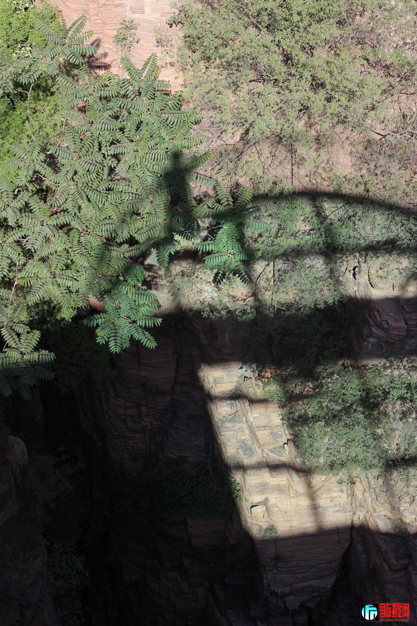 ����Ӱ����