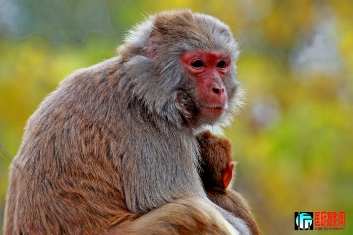 ĸ����     IMG_2137����www.jpg