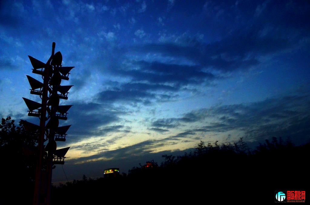 ���� _DSC7017.jpg