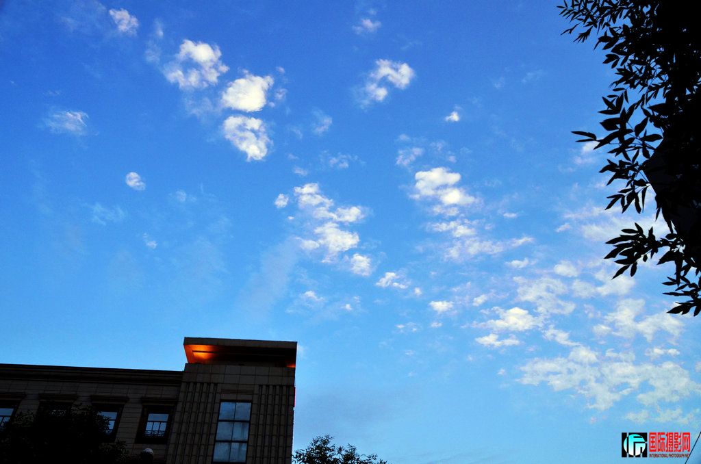 ���� _DSC6931.jpg