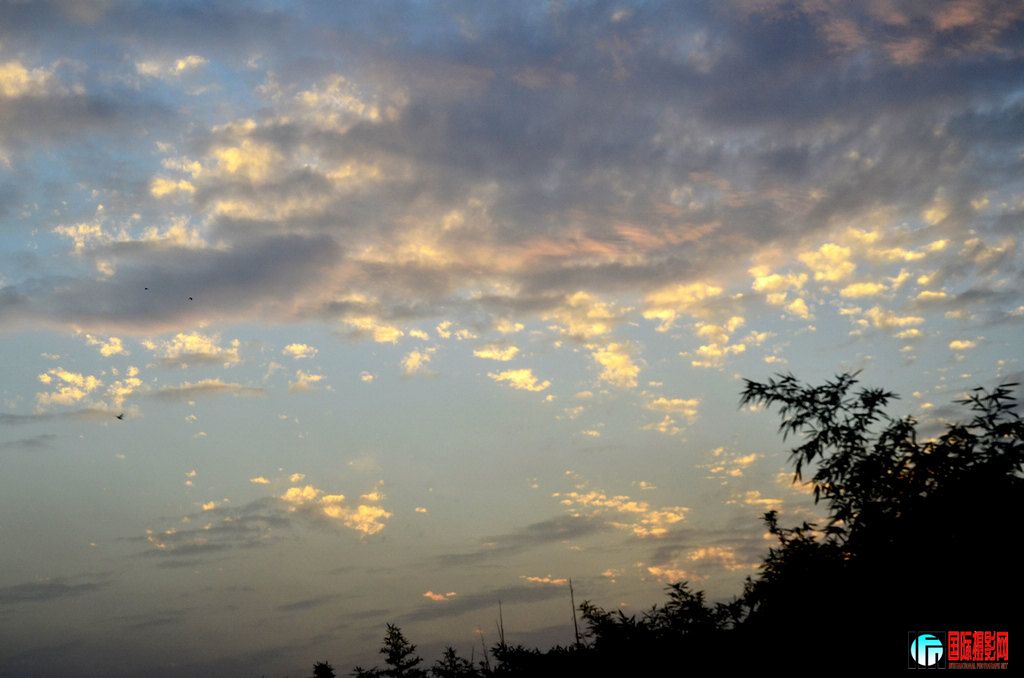 ���� _DSC6940.jpg