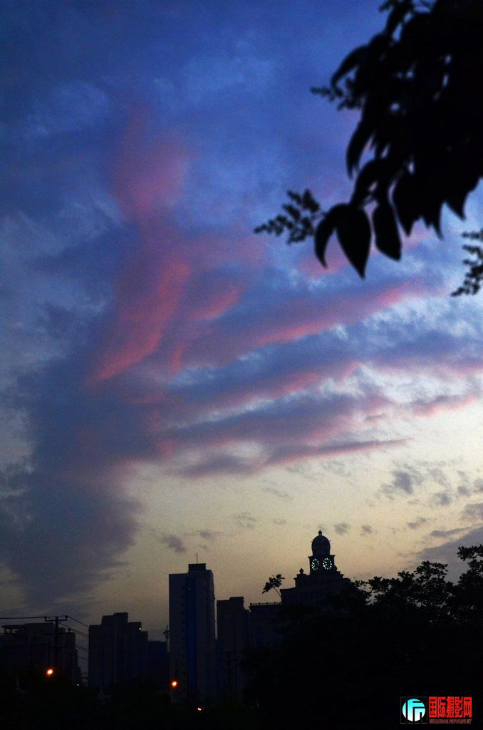 ���� _DSC7000.jpg