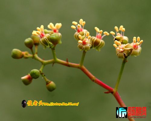 ��ɽ���� (5).JPG