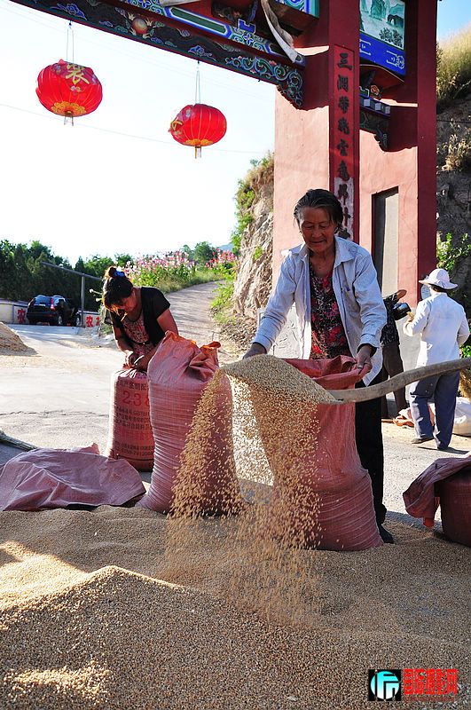 nEO_IMG_��Ƭ 215.jpg