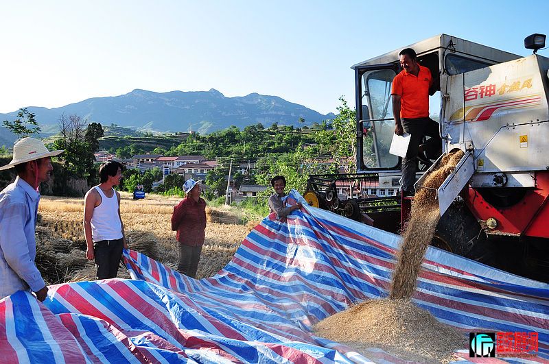 nEO_IMG_��Ƭ 266.jpg