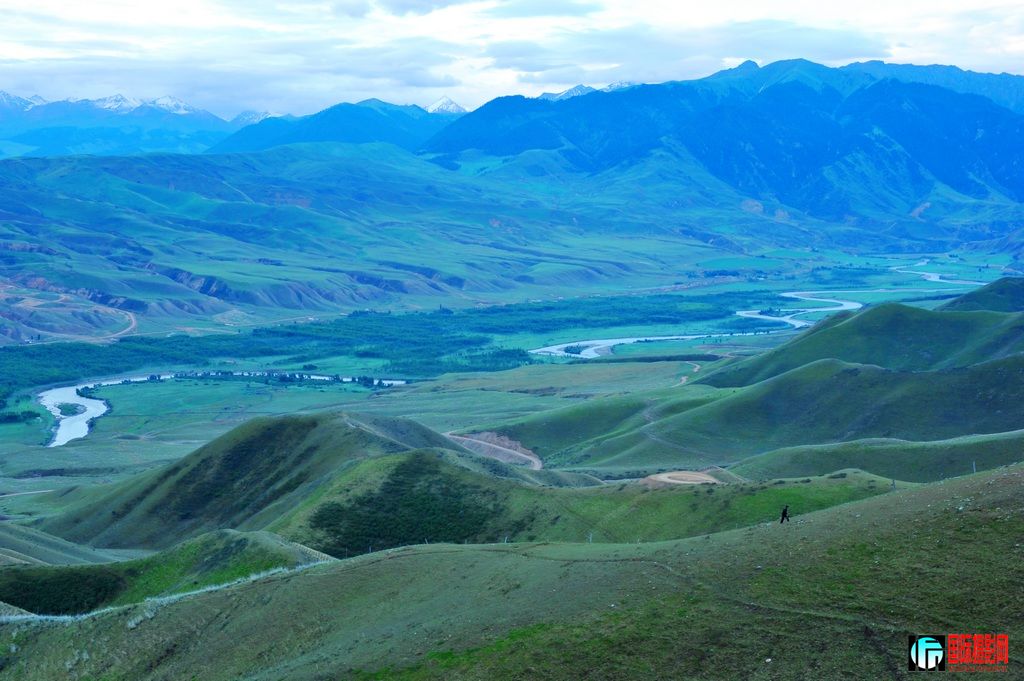 ���� DSC_3140.JPG