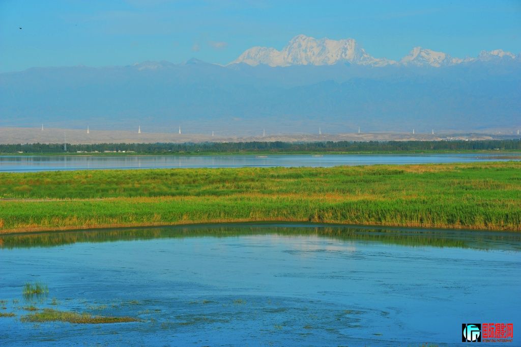 ���� DSC_3513.JPG