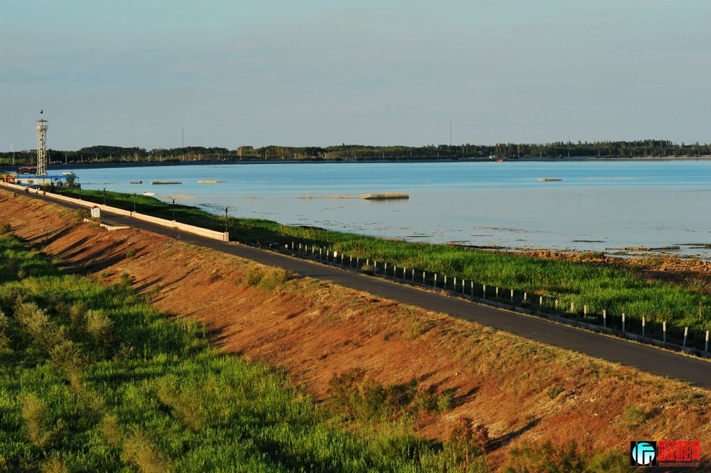 ���� DSC_3545.JPG