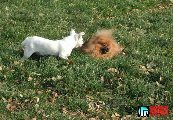 �ڶ���һ���� (3).jpg