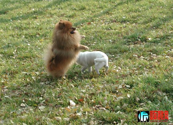 �ڶ���һ���� (15).jpg