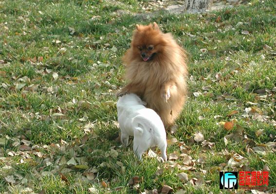 �ڶ���һ���� (26).jpg