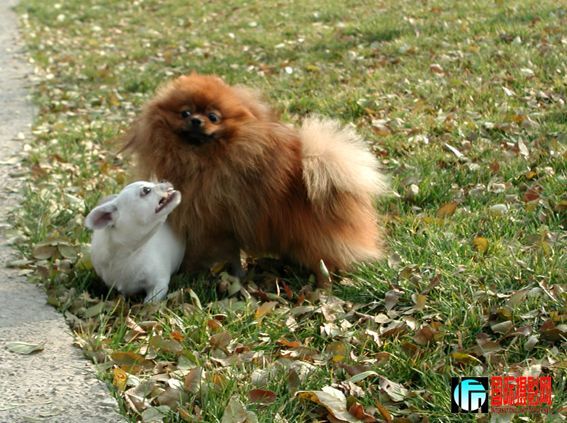 �ڶ���һ���� (12).jpg