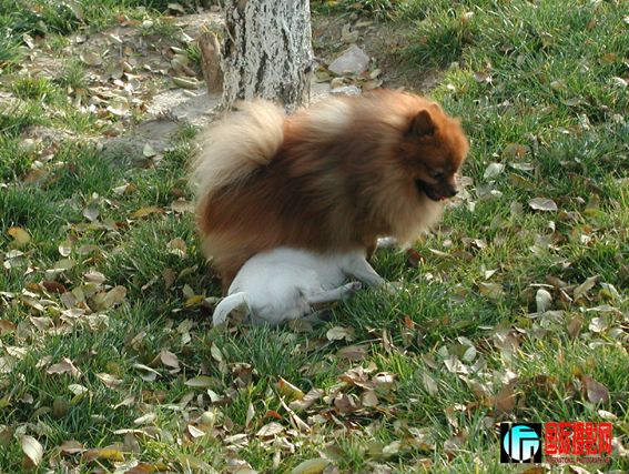 �ڶ���һ���� (30).jpg