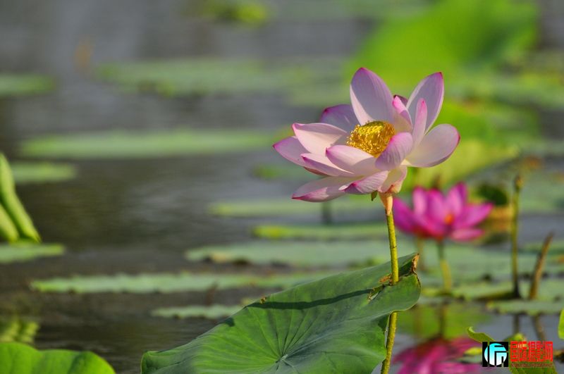 ���� _DSC0022.JPG