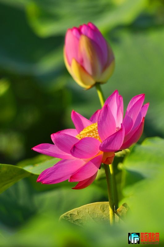 ���� _DSC0016.JPG