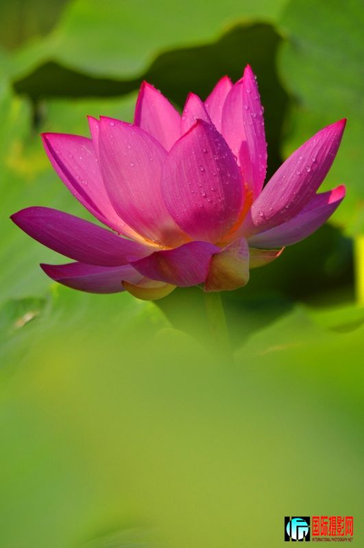 ���� _DSC0019.JPG