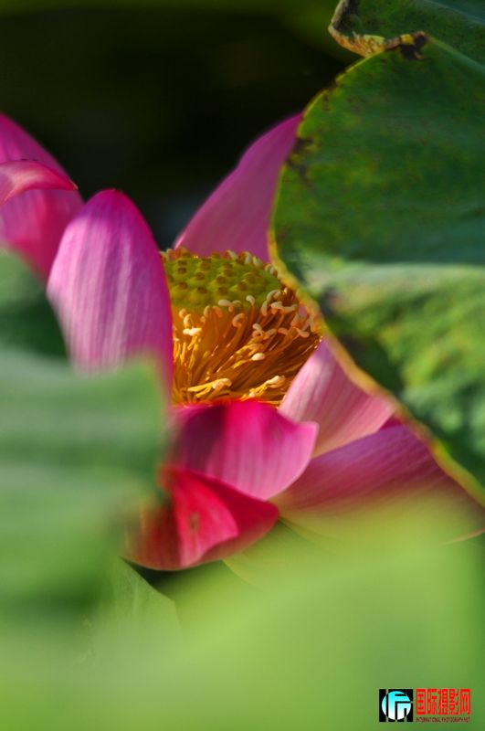 ���� _DSC0036.JPG