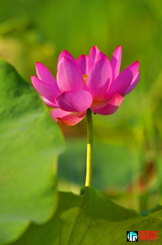 ���� _DSC0020.JPG