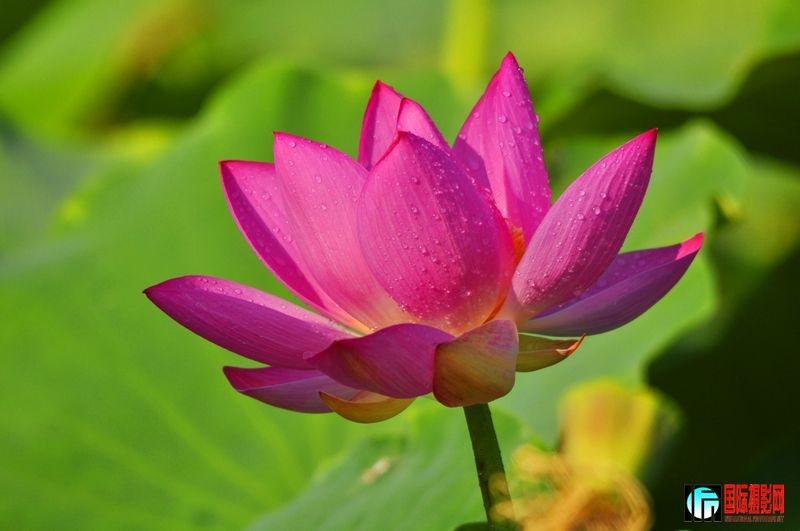 ���� _DSC0014.JPG