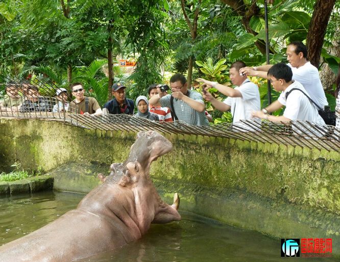 ��������  �����İ���.jpg