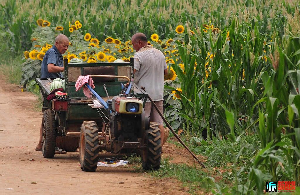 NiKonD3X JPG��2012��6��23�ա�����ڡ����տ� 117.jpg