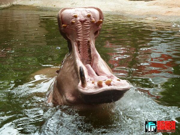 ������лл���� .jpg