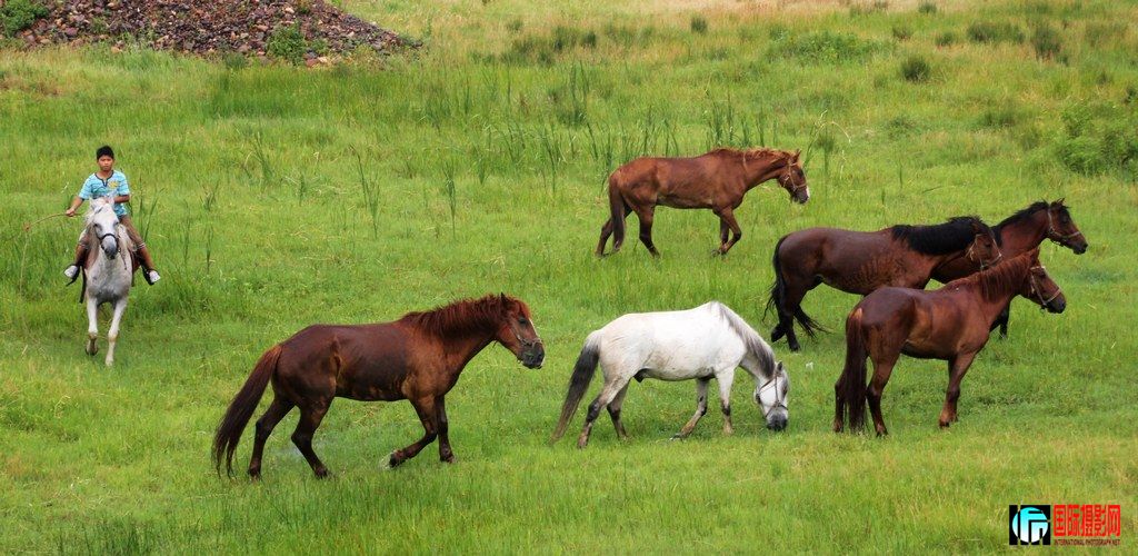 canon550DJPG��2012��6��24�ա������� 084.jpg