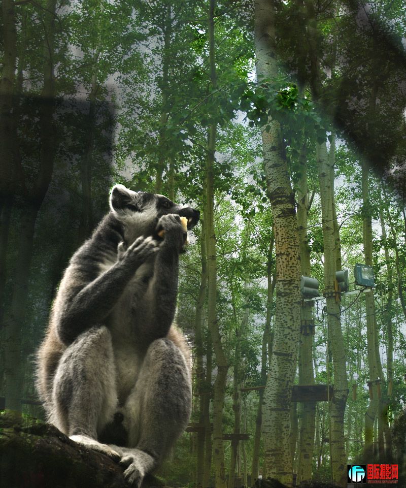 DSC05149 ����.jpg