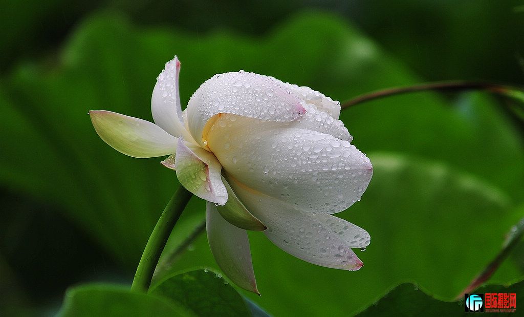 D3X��2012��6��28�ա���� 010.jpg