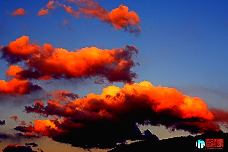 ww��Ժ�����-- ���� IMG_4907����.jpg