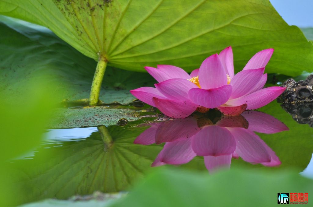 ���� _DSC0003.JPG