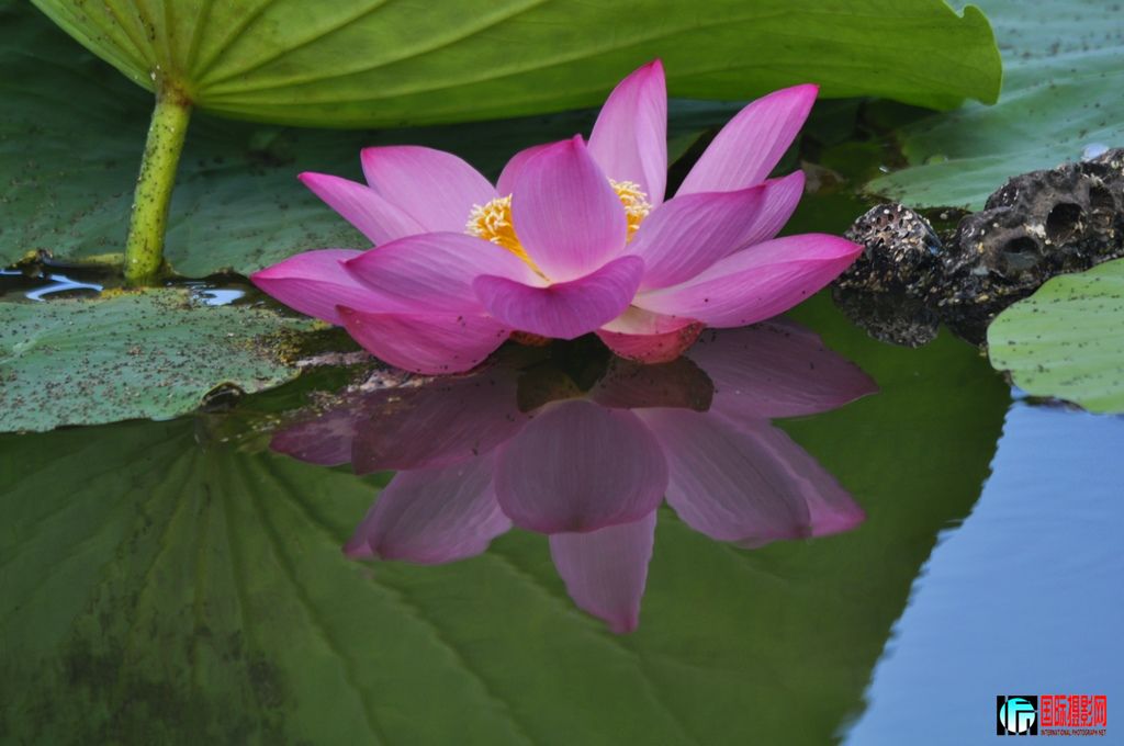 ���� _DSC0006.JPG