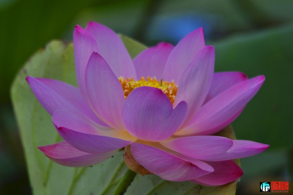 ���� _DSC0002.JPG