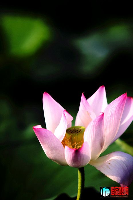 �ɻ� 135_����.jpg