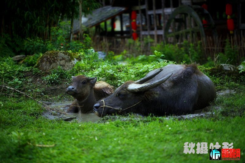 æµһ�죬СЪһ��������������