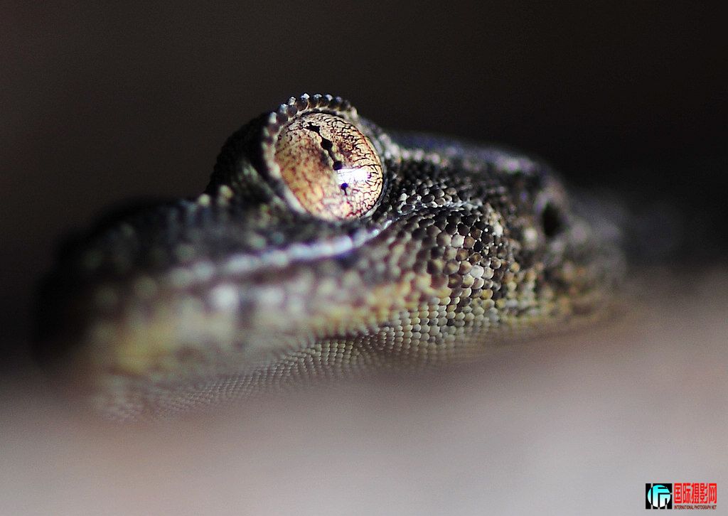 NiKonD3X JPG��2012��7��12�ա��򾮡�������ڻ� 040.jpg