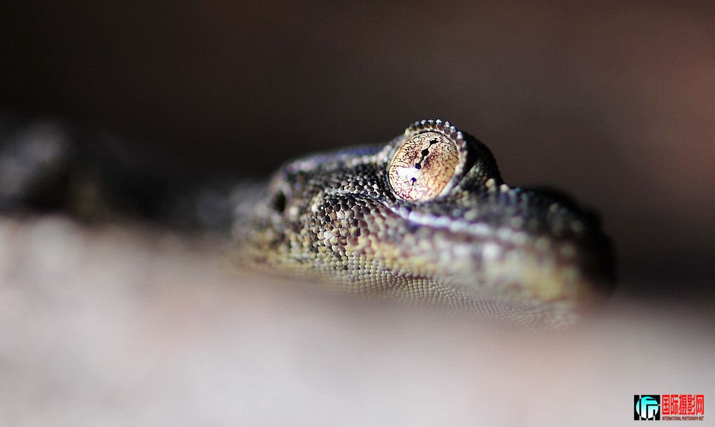 NiKonD3X JPG��2012��7��12�ա��򾮡�������ڻ� 041.jpg