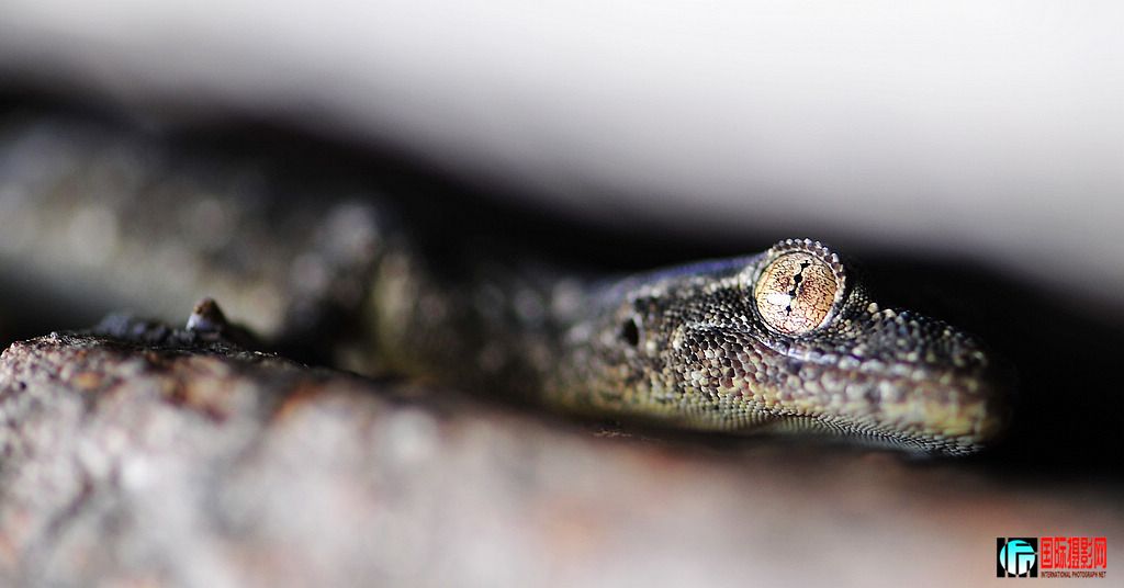 NiKonD3X JPG��2012��7��12�ա��򾮡�������ڻ� 042.jpg