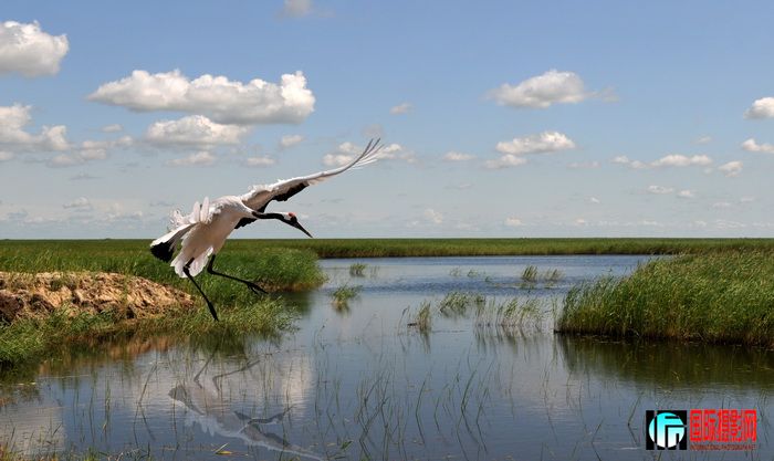 DSC_2639 ����.jpg