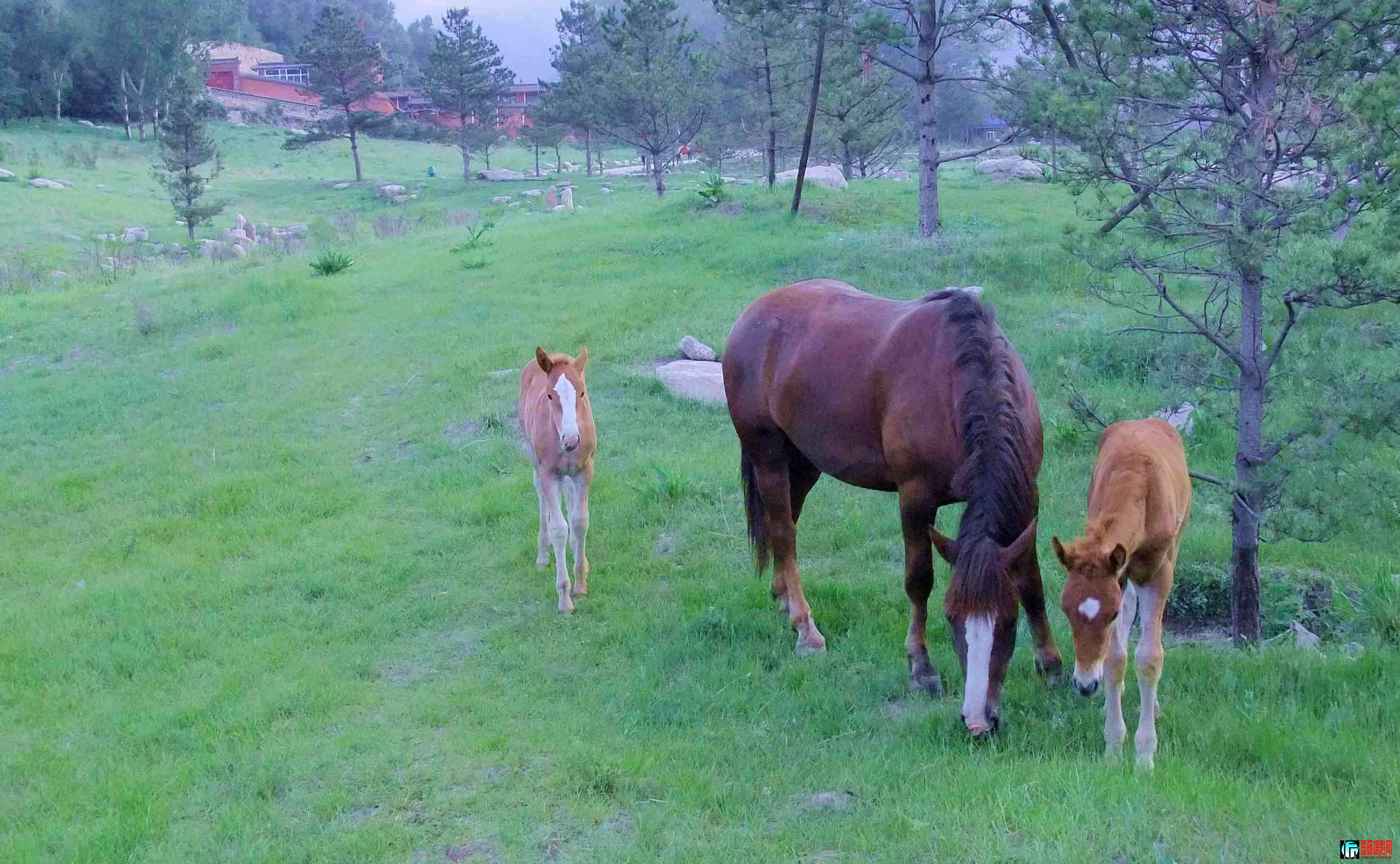 ̫ԭ��Ƭ2 270.jpg