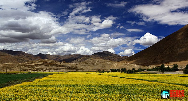 ������ 789_����.jpg