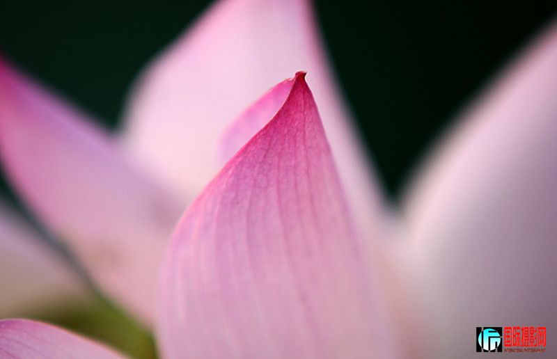 ������Ƭ 217_����.jpg