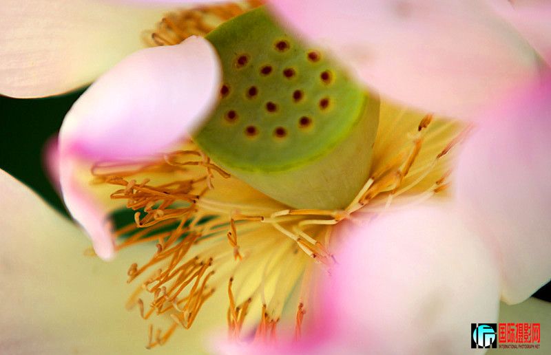 ������Ƭ 220_����.jpg