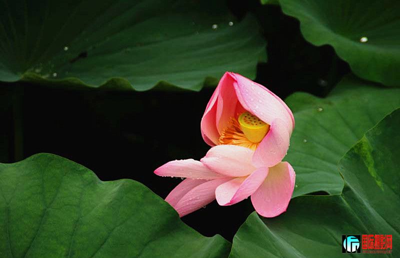 �ɻ���Ƭ (29)_����.jpg