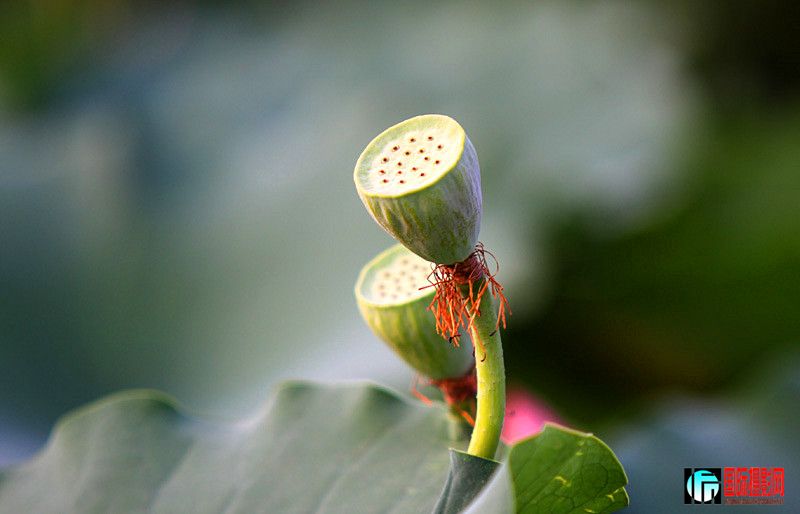 ������Ƭ 207_����.jpg