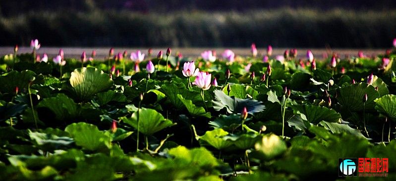 �ɻ� 151_����.jpg